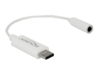 Delock - Audio-adapter - 24 pin USB-C (hane) till mini-phone stereo 3.5 mm (hona) - USB 2.0 - 14 cm - vit