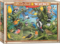 EuroGraphics- Garden Birds by Joahn Francis Oiseaux Puzzle, 6000-0967, Coloris Assortis, 48 x 68 cm