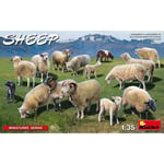 [FR] Miniart SHEEP KIT 1:35 - MIN38042