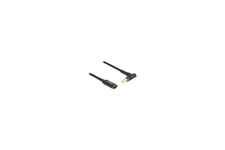 Delock - stikadapter - USB-C (kun strøm) til DC jackstik 5,5 x 1,7 mm - 15 m