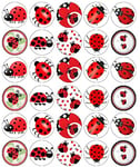 30 Ladybugs Insects Bugs Cupcake Toppers Edible Wafer Paper Fairy Cake Toppers Birthday Cakes